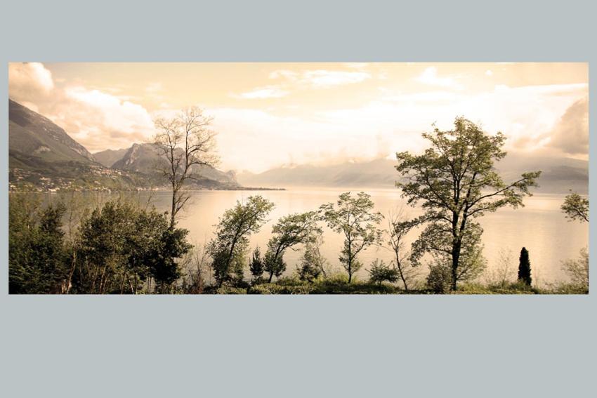 Punta Del Corno Agriturismo ซานเฟลีเช เดล เบนาโก ภายนอก รูปภาพ